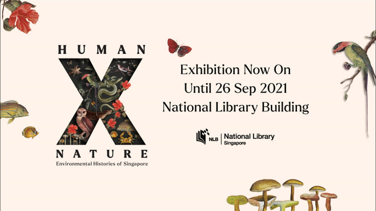 ⮤ Human x Nature - Part of NLB's exhibition on Singapore's natural history