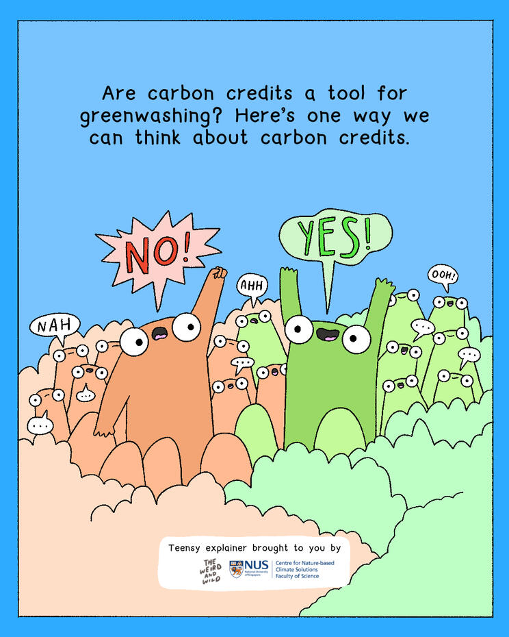 ^ Comic explainer done with NUS Centre for Nature-based Climate Solutions