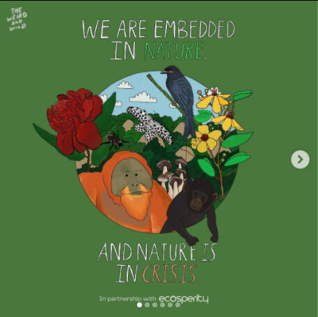 ⮤ Illustrations for Temasek's Ecosperity Conversation with Dr Jane Goodall