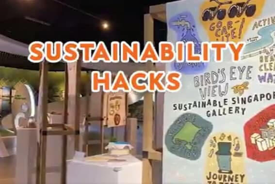 ^ Sustainable Singapore Gallery - I had my work adapted and exhibited at SSG!